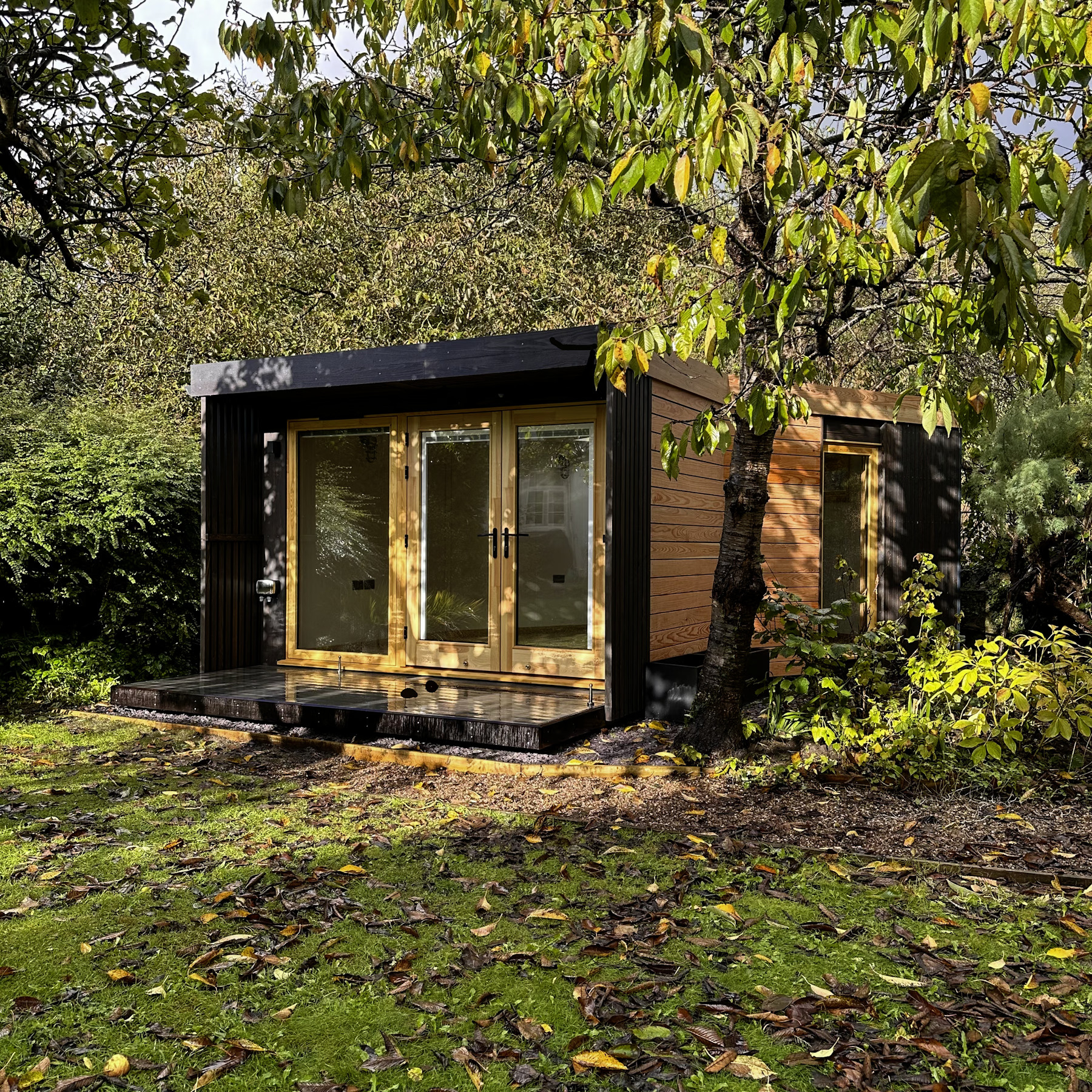 An angled cabin nestled in the trees of a North Somerset garden